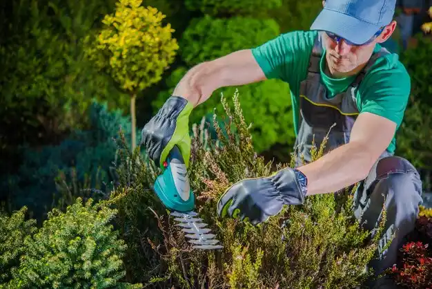 landscaping services Big Point